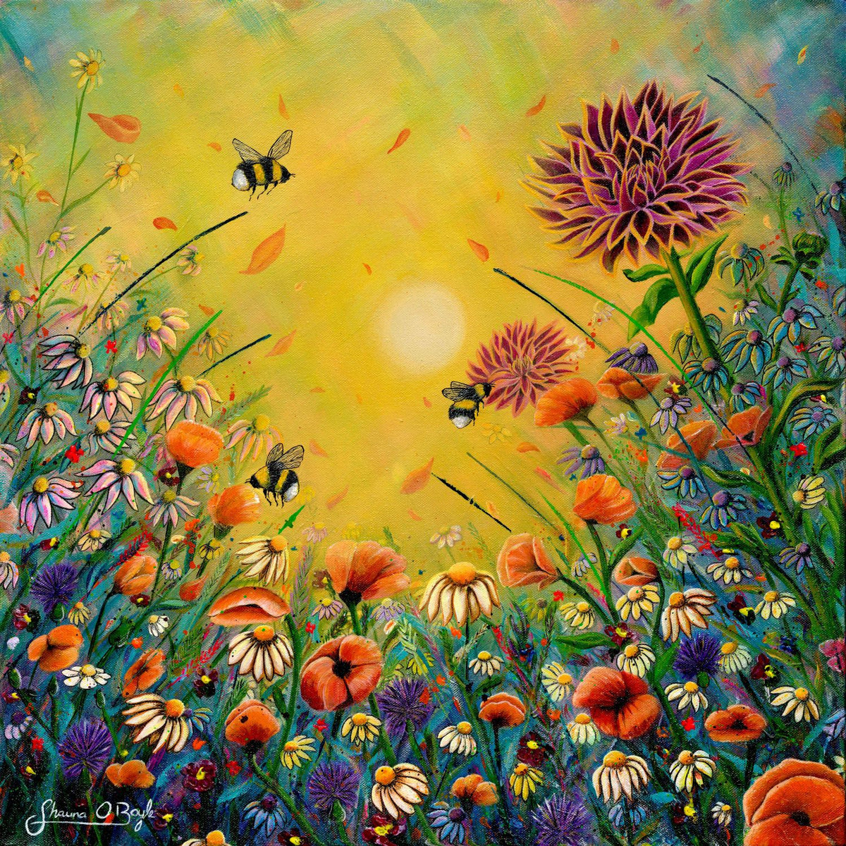 The Three Bees wildflower fine art print by Shauna O'Boyle, featuring three bees among colourful poppies, daisies and purple flowers beneath a glowing yellow sky.