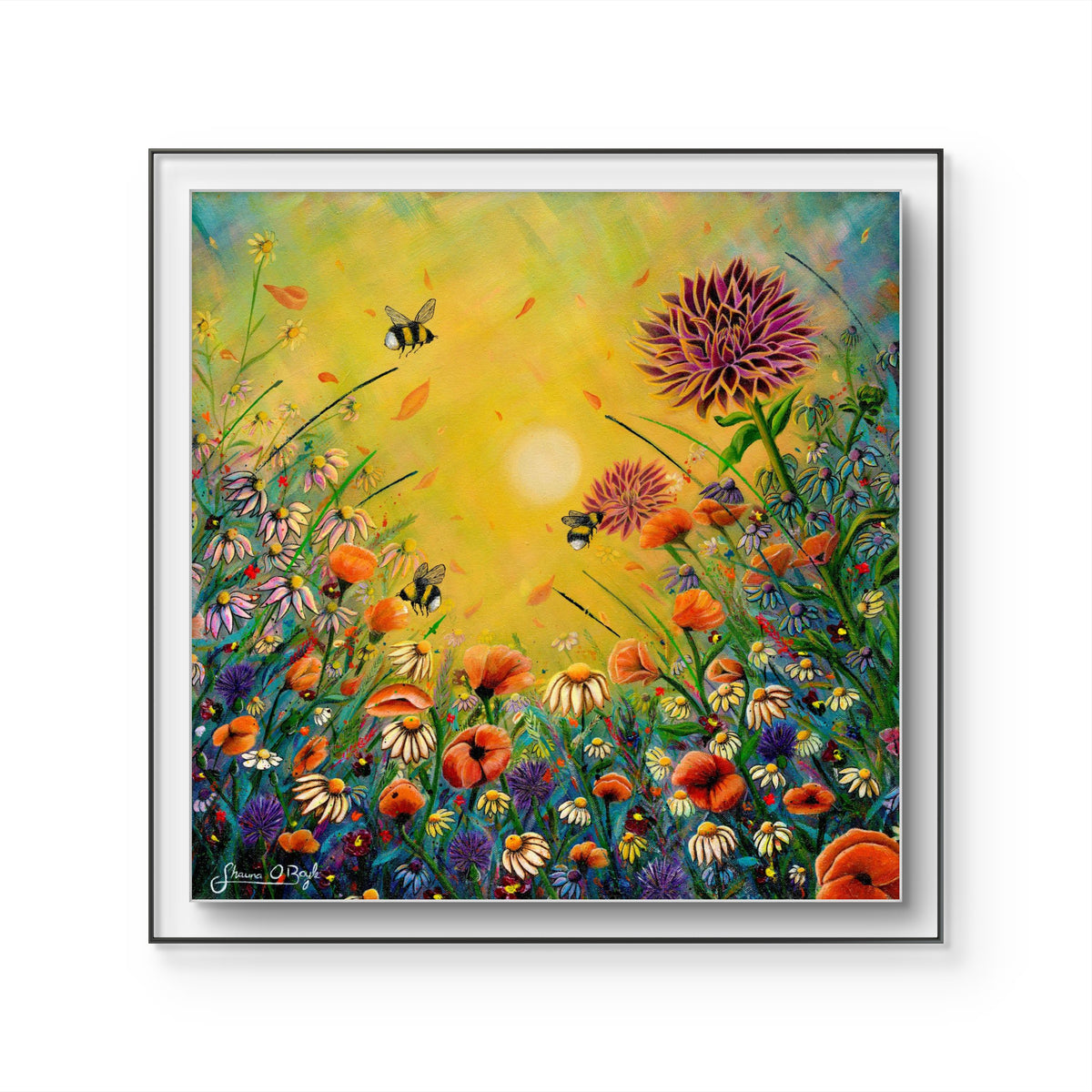 The Three Bees floral fine art print by Shauna O'Boyle shown in a slim black frame with white mount, featuring a vibrant meadow of wildflowers and bees.