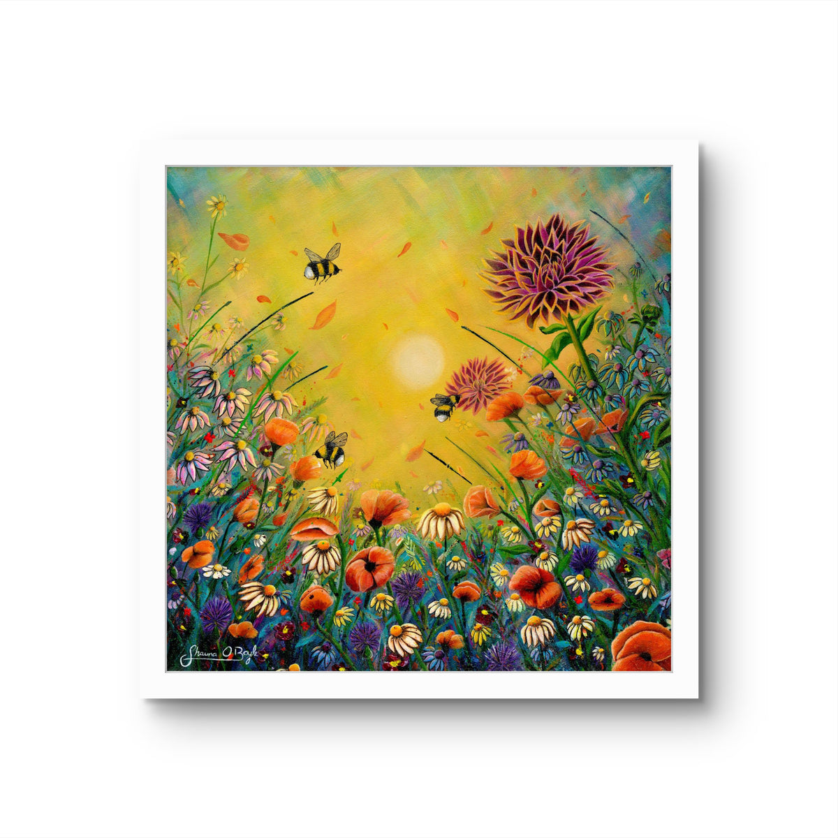 The Three Bees floral fine art print by Shauna O'Boyle shown in a slim black frame with white mount, featuring a vibrant meadow of wildflowers and bees.
