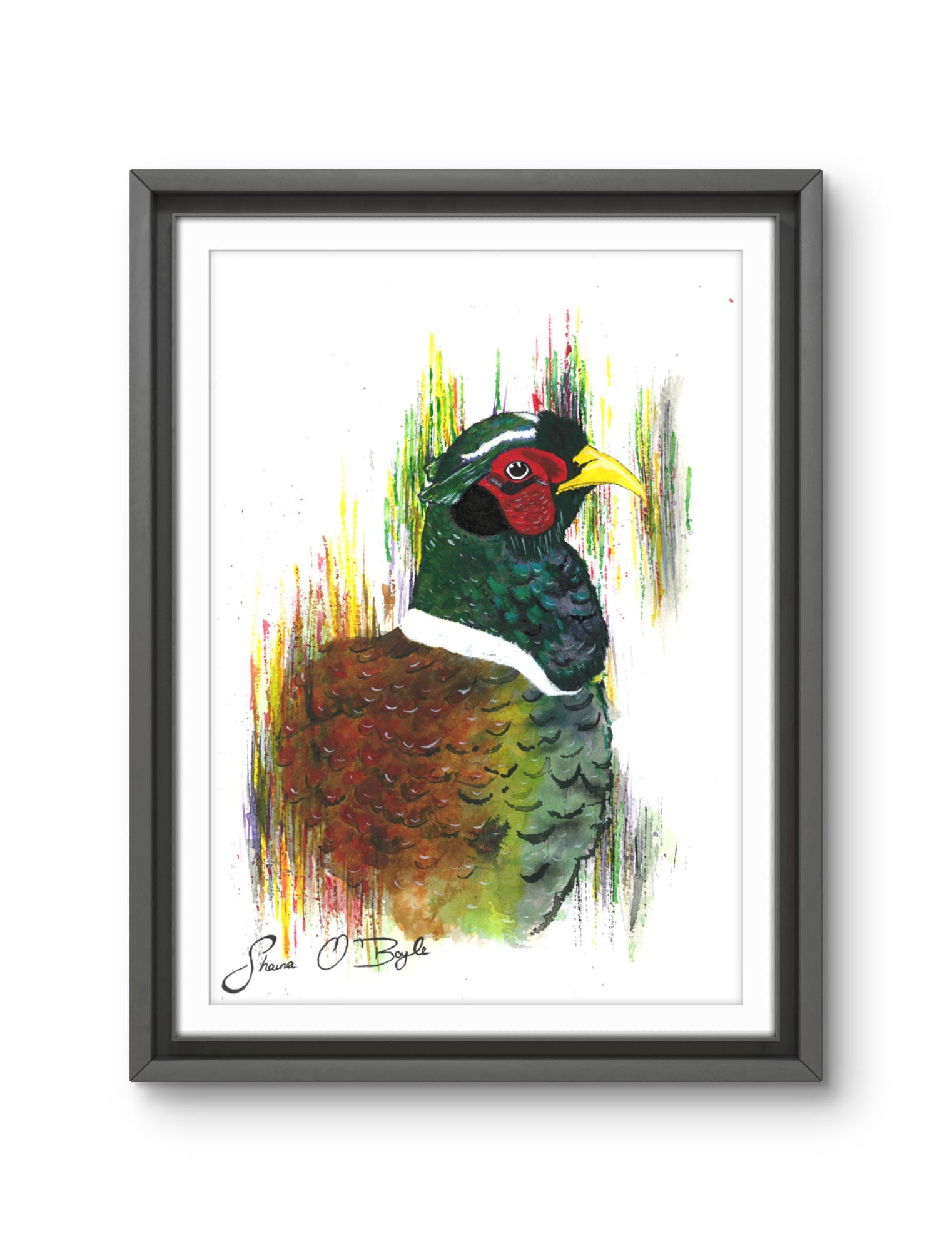 Mr Pheasant - Pheasant Art Print
