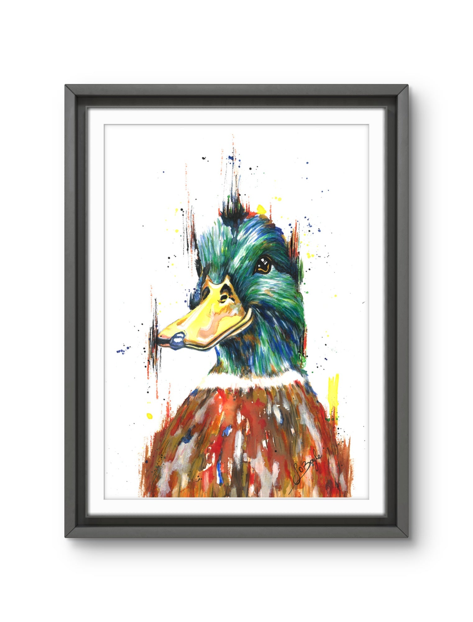Wild Spirit - Duck Art Print