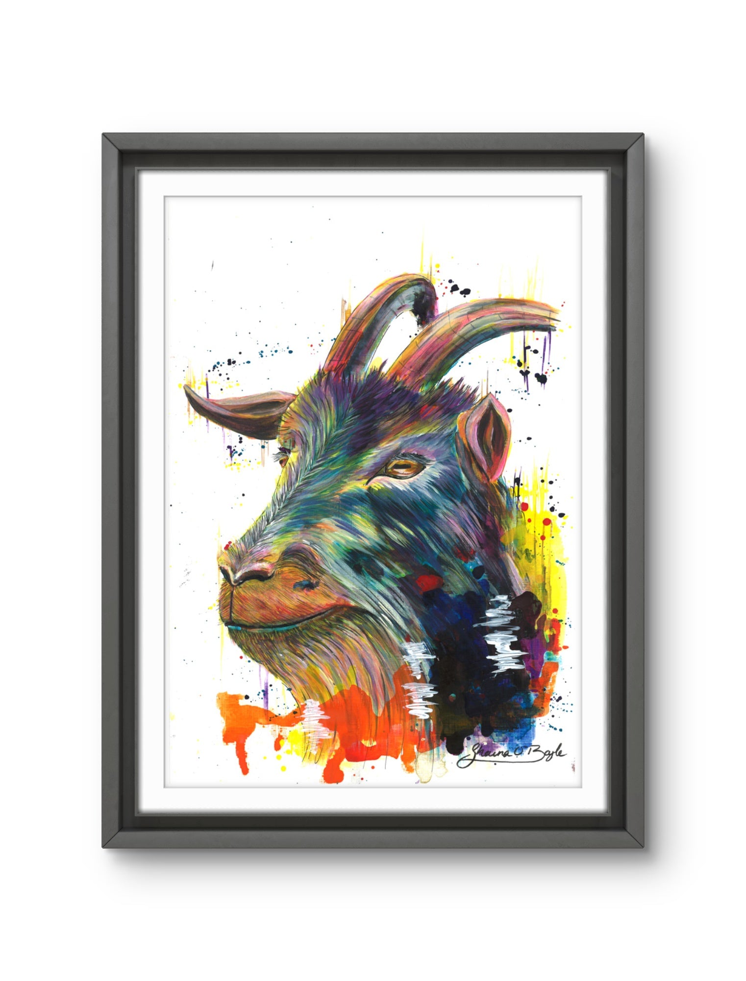 Sure Footed - Goat Art Print