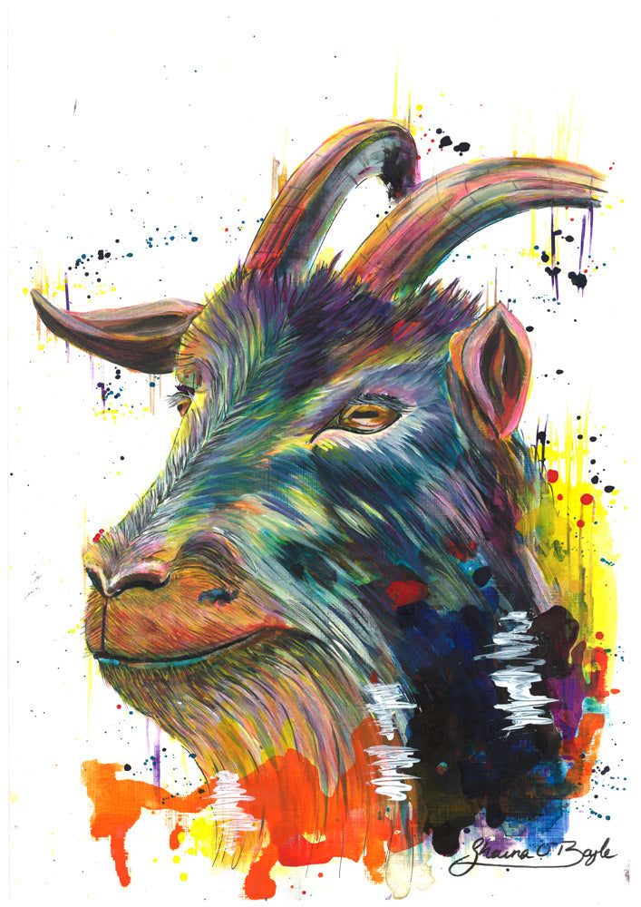 Sure Footed - Goat Art Print