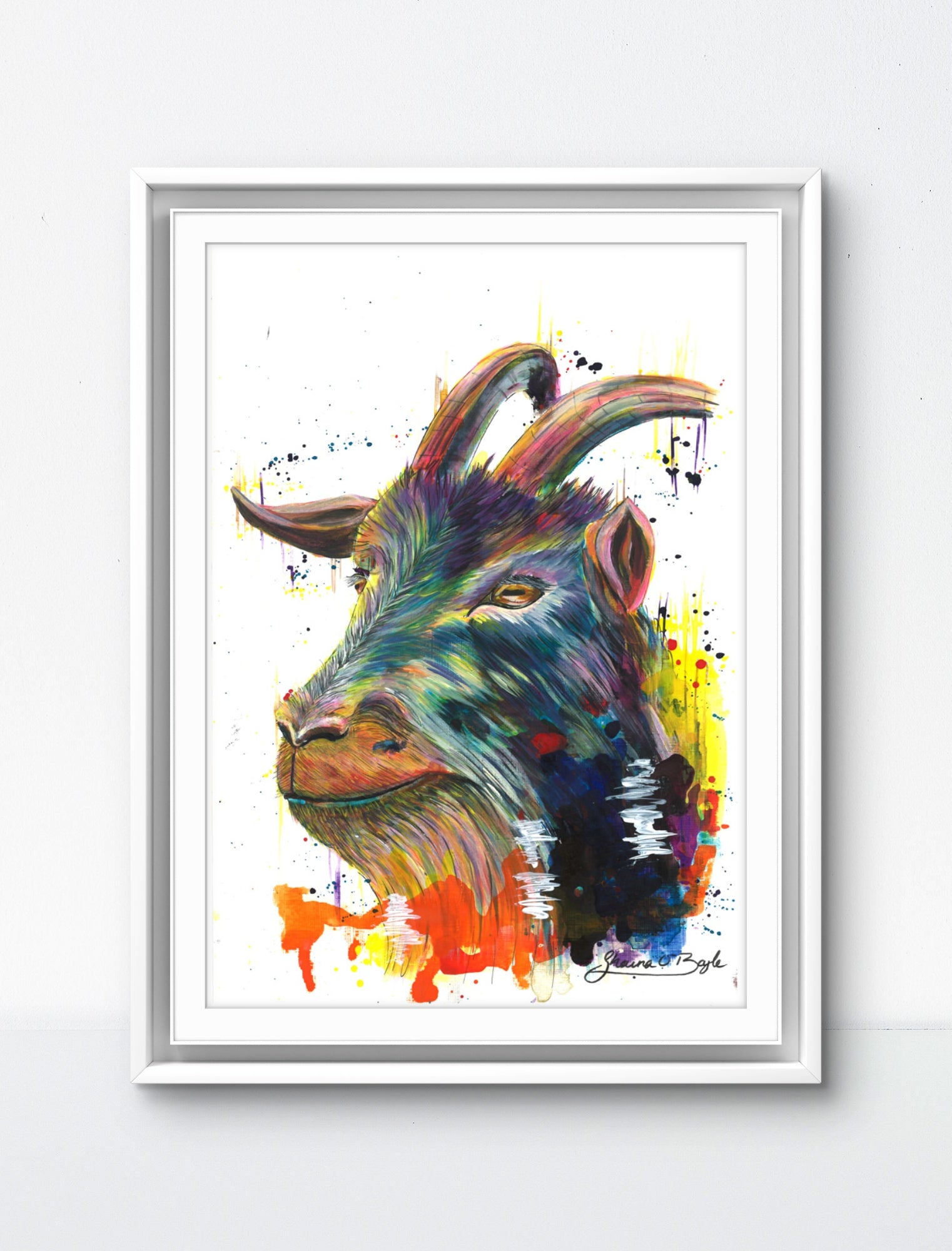 Sure Footed - Goat Art Print