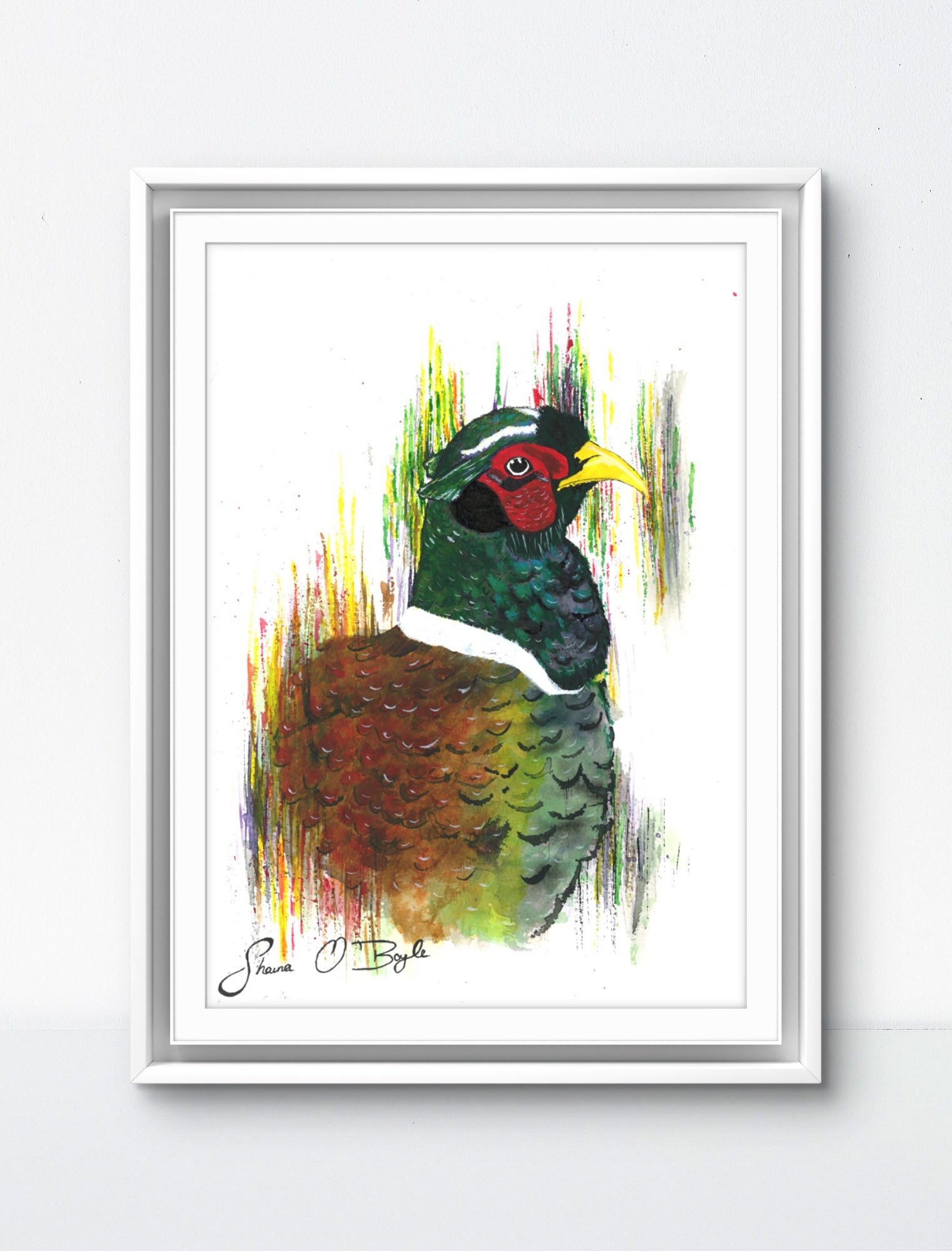 Mr Pheasant - Pheasant Art Print