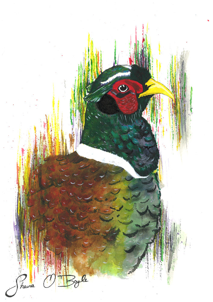 Mr Pheasant - Pheasant Art Print